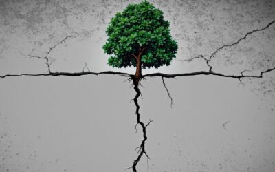 Résilience organisationnelle : stratégies pour transformer les crises en opportunités